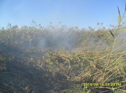 Жителей юга Волгограда душит горящее «наследство» промпредприятий