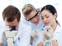 Волгоградские учёные получили по 150 тысяч рублей