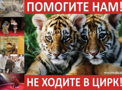 В Волгограде зоозащитники проведут акцию «За цирк без животных» 