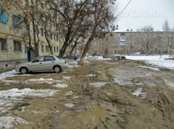 Контролировать чистоту дворов жители Волгограда могут в режиме онлайн