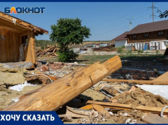 14 лет жизни: сохранения усадьбы «Сосновый бор» в Волгограде требуют сотрудники и активисты