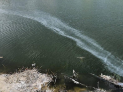 Под Волгоградом покрасили реку