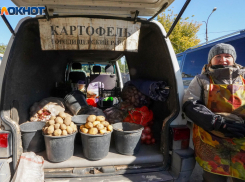 В Волгоградской области продолжает дорожать картофель