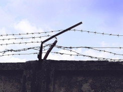 Семь лет колонии грозит волгоградскому бизнесмену за сокрытие 80 млн налоговых рублей