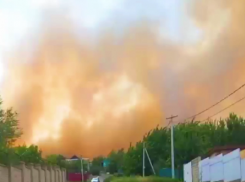 «Пожар спускается с горы»: пугающие видео очевидцев крупного ЧП на юге Волгограда