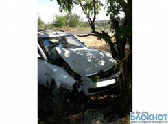 Дерево стало камнем преткновения для водителя Lada под Волгоградом