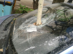 Последствия урагана в Волгограде: поваленные деревья и разбитые авто