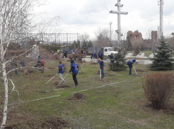 Проклятье выборов: в Волгограде за пять лет умер каждый восьмой избиратель