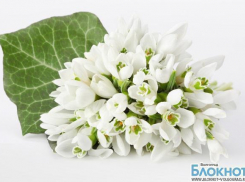 Куда пойти волгоградцам на следующей неделе (8 – 14 марта)