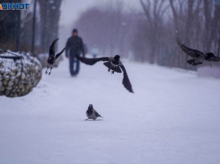 Волгоградская область стала главной целью атак ВСУ: за ночь сбито 45 БПЛА