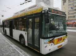 За демонстрацию полового органа пассажирам автобуса мужчина поработает год на благо Волгограда