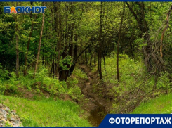 Тайная жизнь ерика за Волгой в Волгоградской области в объективе фотографа