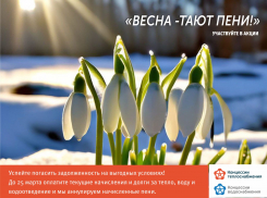«ВЕСНА - ТАЮТ ПЕНИ!» Успейте погасить задолженность на выгодных условиях! 