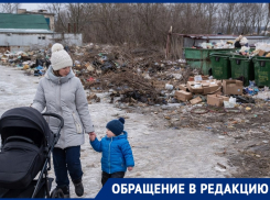 Волгоградка родила второго ребенка, а свалку так и не убрали 