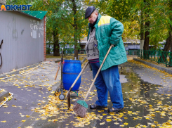 Названы вакансии с зарплатой до 250 тысяч в Волгограде 