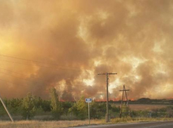Степной пожар огненной стеной движется в сторону села под Волгоградом