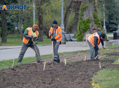 Большинство волгоградцев выступают против рабочей шестидневки 