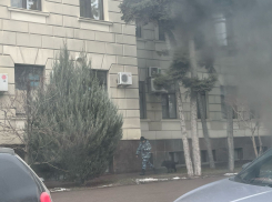 Будто Путина ждут: полицейские со служебными собаками заполонили центр Волгограда