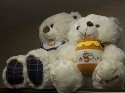 Двух школьниц разыскивали всю ночь в Городищенском районе