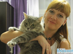 Самым красивым котом Волгограда может стать Матвей