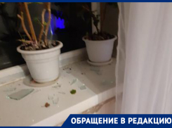 «Сосед меня пытался убить и продолжает угрожать, а полиция бездействует», – жительница Волгоградской области