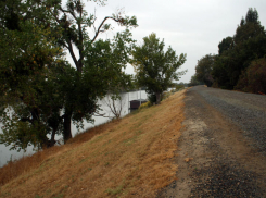 Более 100 дамб возведены на ериках Волго-Ахтубинской поймы