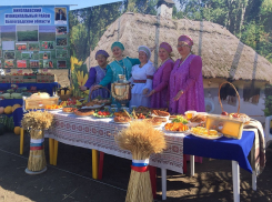 Стухнуть от недостатка мест в хранилище угрожает урожаю волгоградского картофеля