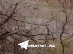 Фекальное наводнение сняли на видео в Волгограде – его устроил засор 