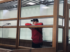 Жил в борделе и путешествовал с собакой по Европе: чем занимался обвиняемый в заказном убийстве Брудного, скрываясь от СК 