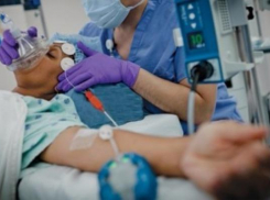 Молодая женщина съела крысиный яд после ссоры с мужем в Волгограде 