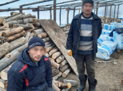 В теплицах под Волгоградом нашли 25 гастарбайтеров-нелегалов