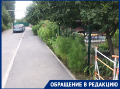 “На верёвочке должна водить этого выродка”: сходившего в туалет в палисадник ребенка-аутиста оскорбили в Волгограде 