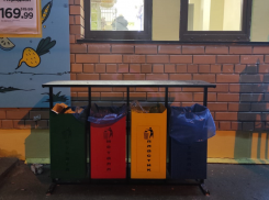 «В первую очередь нужно побороть сознание человека»: волгоградский учитель о раздельном сборе мусора