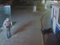 «Водитель не убедился, что все зашли в салон»: на видео попало, как 72-летняя волгоградка выпала из троллейбуса