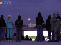 В Волгограде наступает Волчье полнолуние