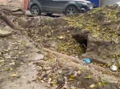 «Искалечили дерево, побросали трубы»: раскопки возле планетария возмутили волгоградцев