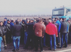 Волгоградские дальнобойщики массово не вышли на маршрут