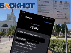 Заколдованный штраф за платную парковку выставили жителю Волгограда