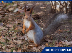 Показываем аномально жаркий январь в Волгограде: тепло как в Сочи