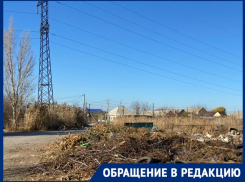 В Волгограде жильцы платят за превращенную в свалку детскую площадку с собаками
