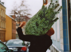 На юге Волгограда мужчина уснул на улице в обнимку с елкой