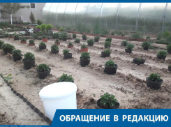Во всех долгах он обвиняет нас, списывает на то, что кто-то из жителей не заплатил по счетам, - волгоградка о председателе СНТ