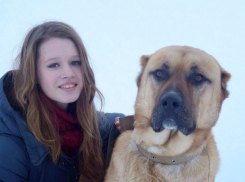 В Волгограде школьница спасла пса, отравленного догхантерами 