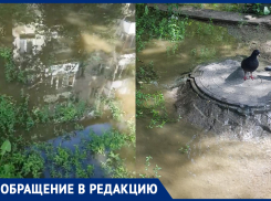 Фонтанирует канализация: во дворе многоэтажки в Волгограде образовался «пруд» 
