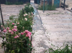 Волгоградцы ждут компенсацию за уничтоженный градом урожай