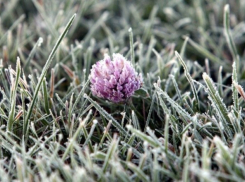 Мужчина замерз насмерть весенней ночью под Волгоградом 