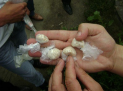 В Волжском 25-летнюю женщину осудили на 10 лет за сбыт спайса