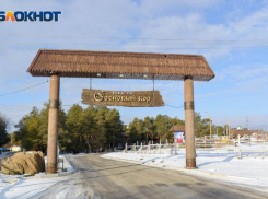 «Зачем вам этот пустырь?»: учитывать мнение волгоградцев при сносе «Соснового бора» призвал активист 