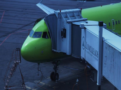  Волгоградец с миной пытался долететь до Лондона через Домодедово