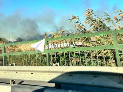 Бушующий в Городище пожар попал на видео 